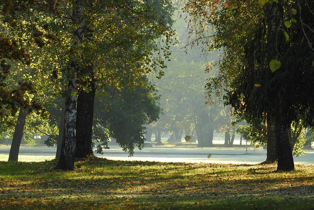 městský park